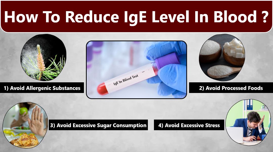 How-to-reduce-IgE-Level-in-blood