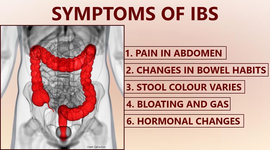 ibs types