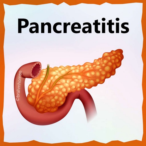 Pancreatitis Treatment in Homeopathy