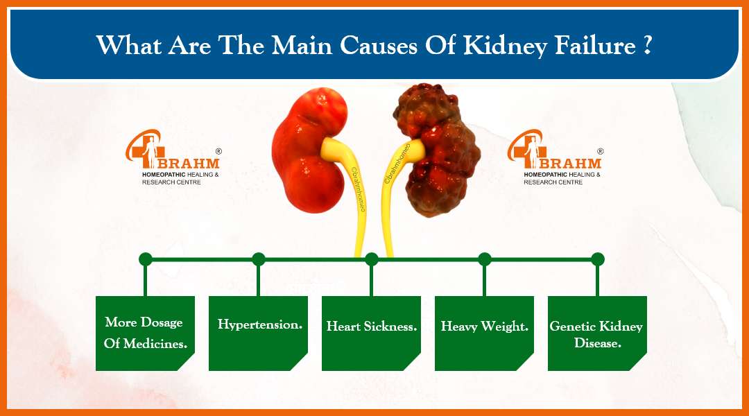 cause of kidney failure